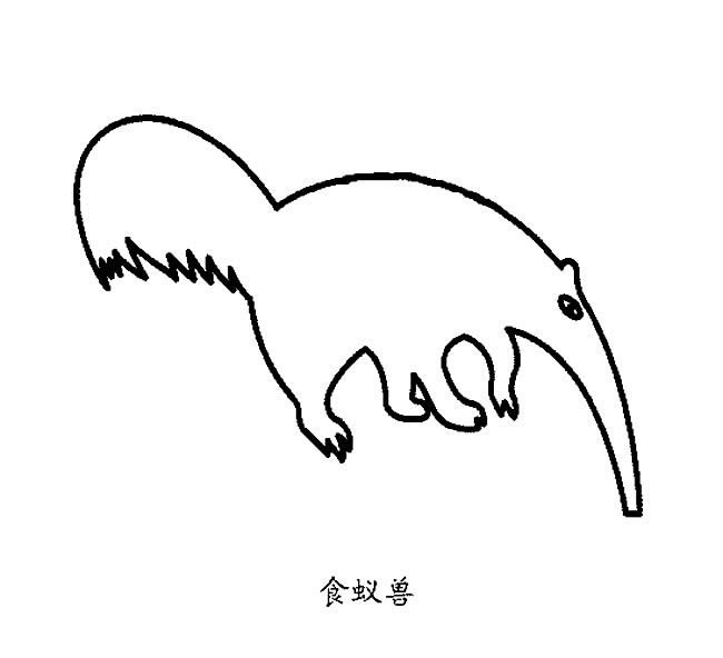 食蚁兽怎么画最简单