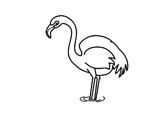 简单的火烈鸟怎么画