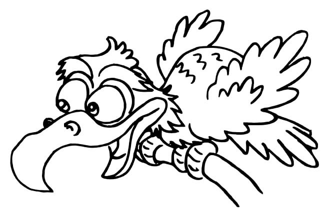 卡通的秃鹫简笔画