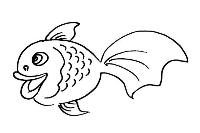 分享两款金鱼的简笔画