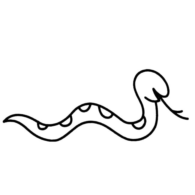 一条花蛇的简笔画