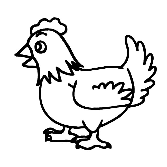 一只小公鸡的简笔画