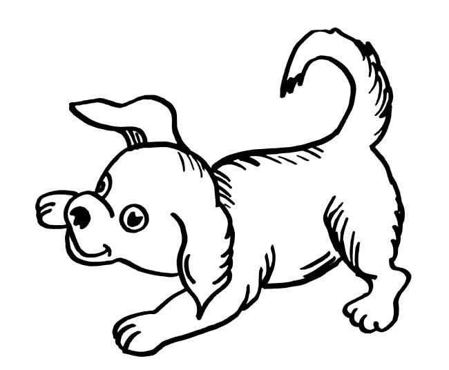 7款可爱的小狗简笔画精选