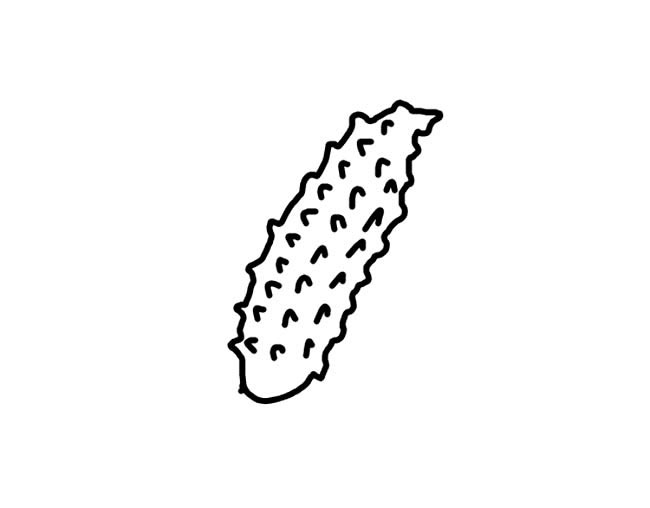 关于海参的简笔画