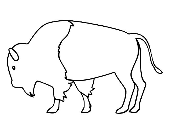 简单的牦牛怎么画