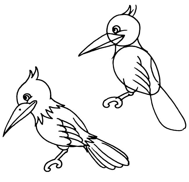 两只啄木鸟的简笔画
