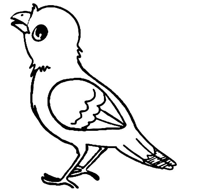 三款关于小鸟的简笔画