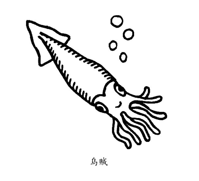 卡通的乌贼儿童简笔画