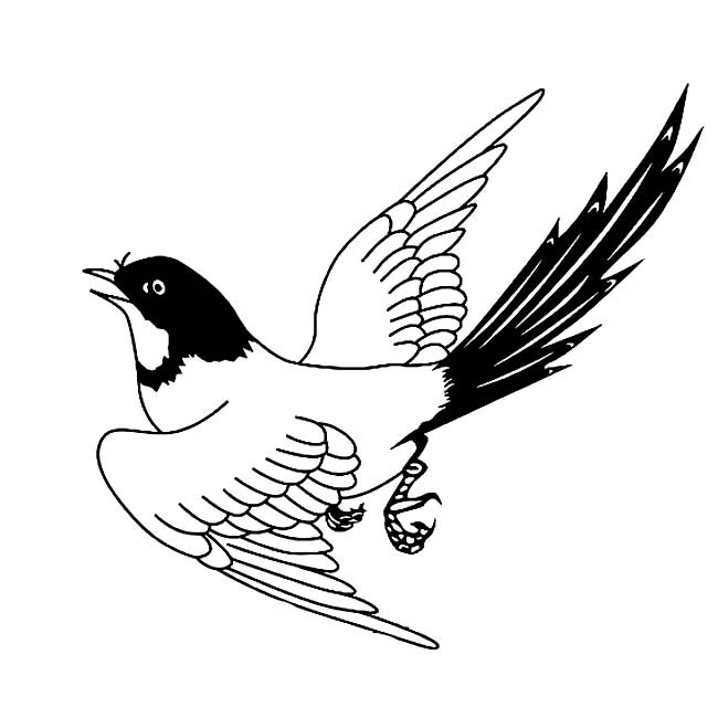 漂亮生动的喜鹊简笔画