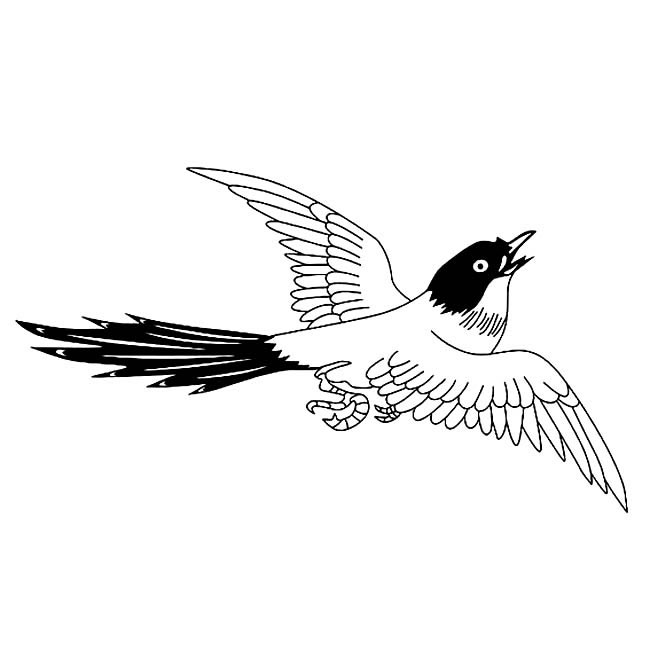 漂亮的喜鹊简笔画