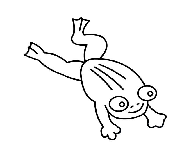两款跳跃到水里的青蛙简笔画