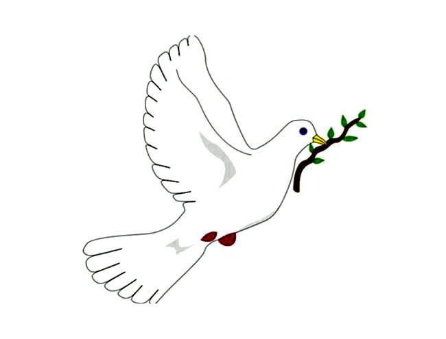 漂亮涂色的和平鸽简笔画