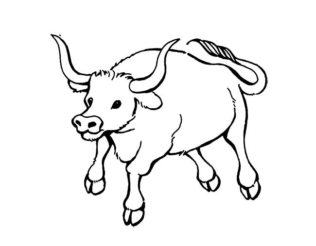 生动形象的水牛简笔画