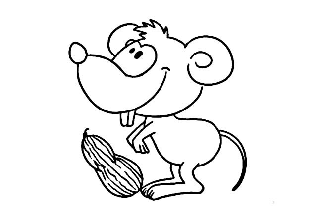 吃花生的老鼠简笔画