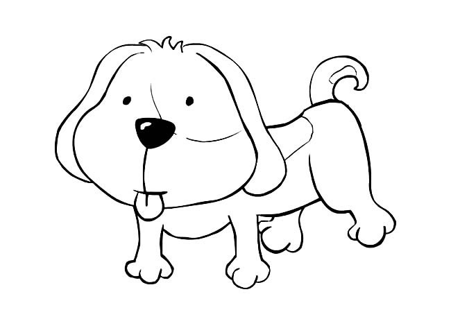 关于哈巴狗的简笔画