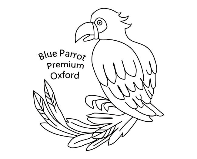 长尾巴的鹦鹉简笔画