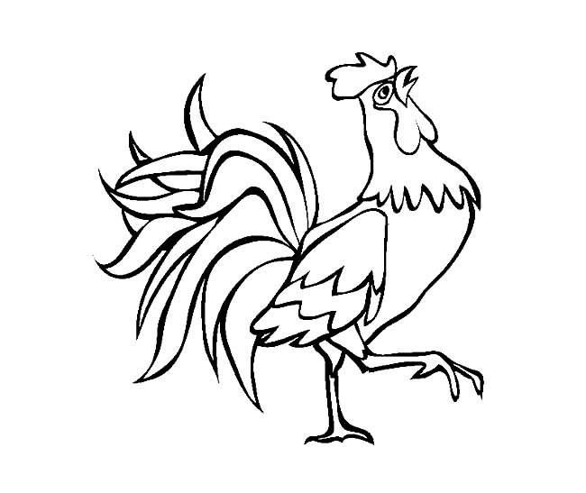 昂首挺胸的公鸡简笔画