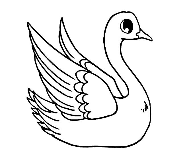 关于大白鹅的简笔画
