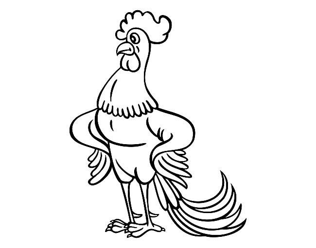 骄傲帅气的公鸡简笔画