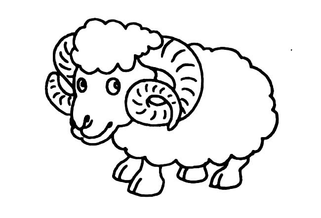 一只小绵羊的简笔画