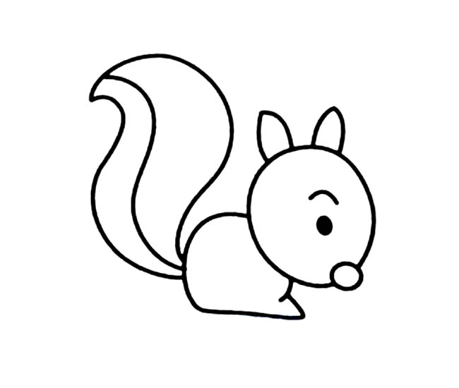 一看就会的小松鼠简笔画