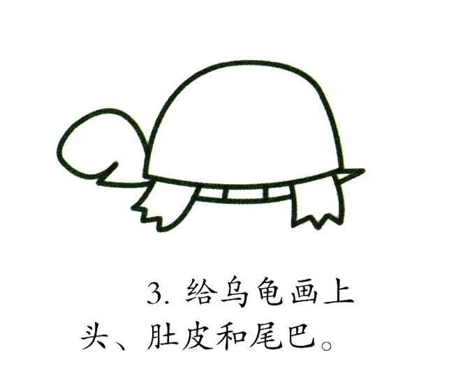 五颜六色的乌龟简笔画