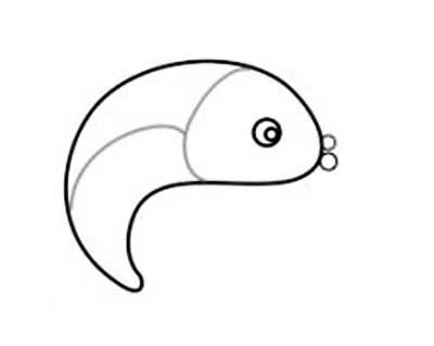 鲤鱼的简单画法步骤