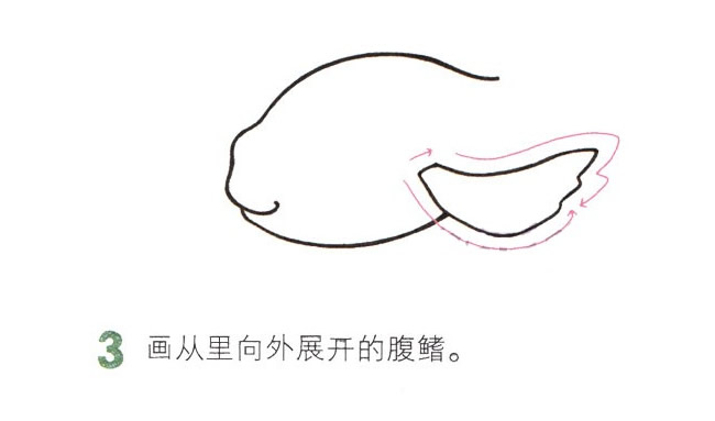 吐泡泡的金鱼简笔画