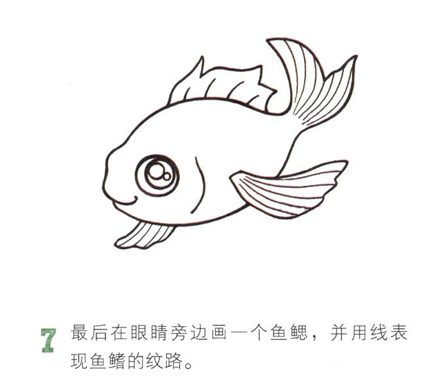 吐泡泡的金鱼简笔画