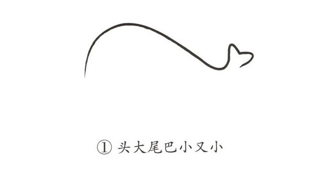 简单抽象的鲸鱼简笔画