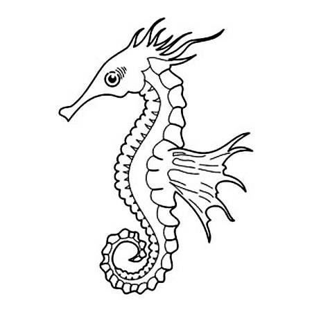 四款关于海马的简笔画