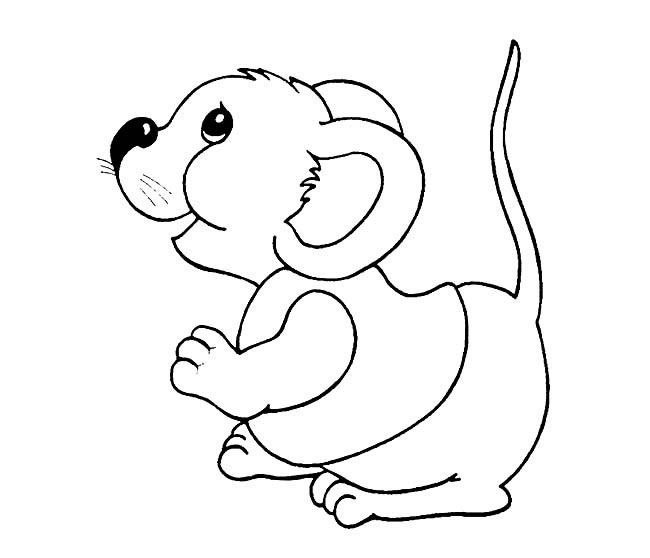 关于花栗鼠的简笔画