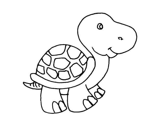 卡通可爱的乌龟简笔画