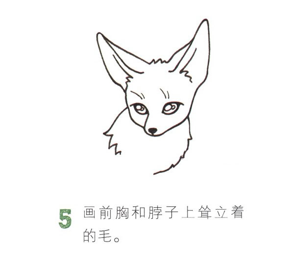 带颜色的狐狸简笔画