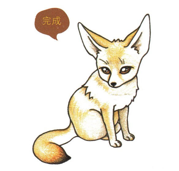 带颜色的狐狸简笔画