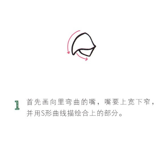 彩色漂亮的鹦鹉简笔画教程