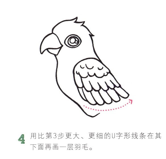 彩色漂亮的鹦鹉简笔画教程