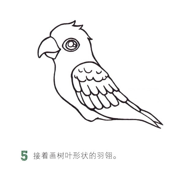 彩色漂亮的鹦鹉简笔画教程