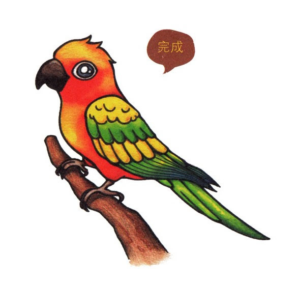 彩色漂亮的鹦鹉简笔画教程