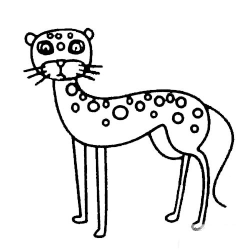 三步画一只简单的猎豹