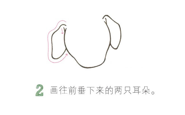 超级可爱的小狗简笔画教程