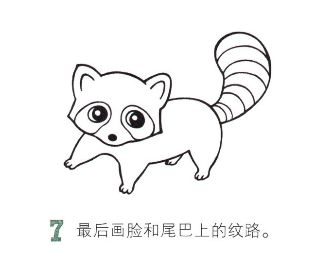 可爱的彩色小浣熊简笔画