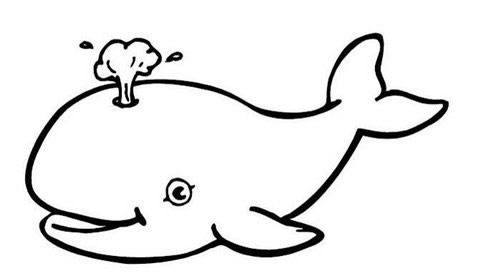 9款鲸鱼简笔画大全