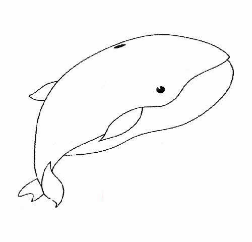 9款鲸鱼简笔画大全