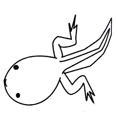 简单的蝌蚪怎么画 简单的蝌蚪怎么画