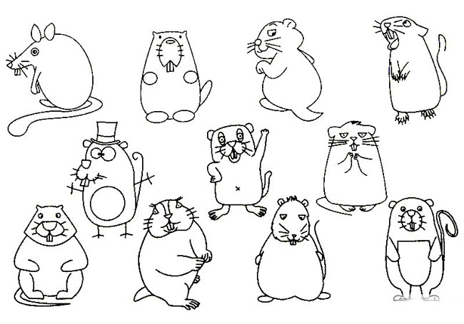 简单的土拨鼠怎么画