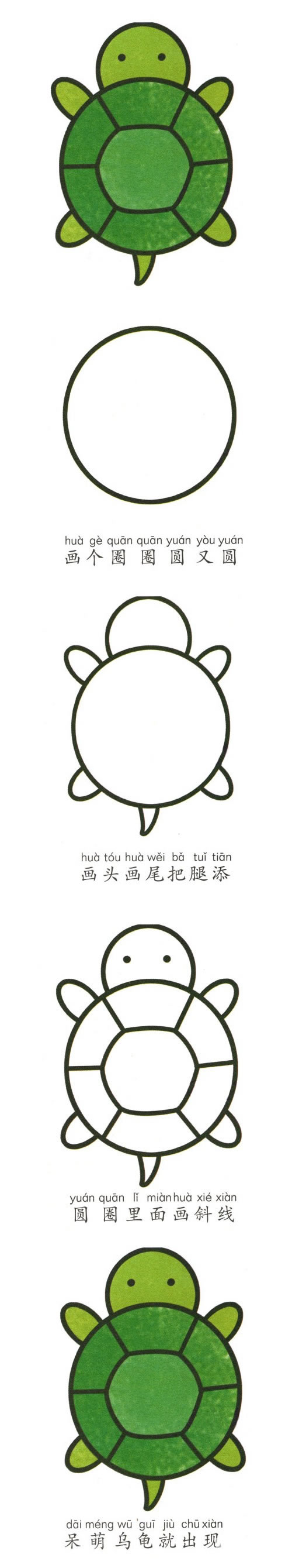 可爱的小乌龟简笔画步骤