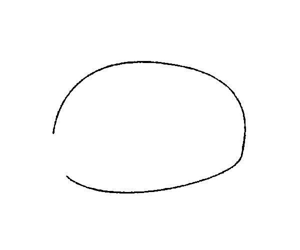 野猪简笔画步骤教程