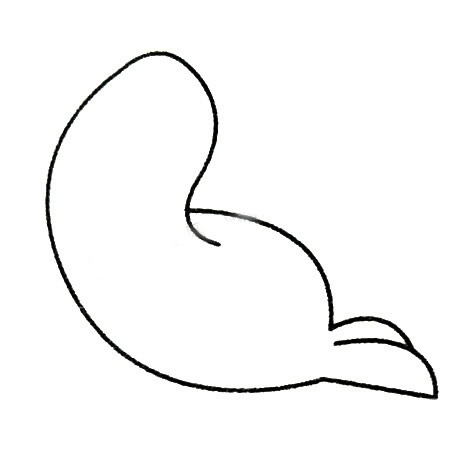 三步画一只简单的海豹