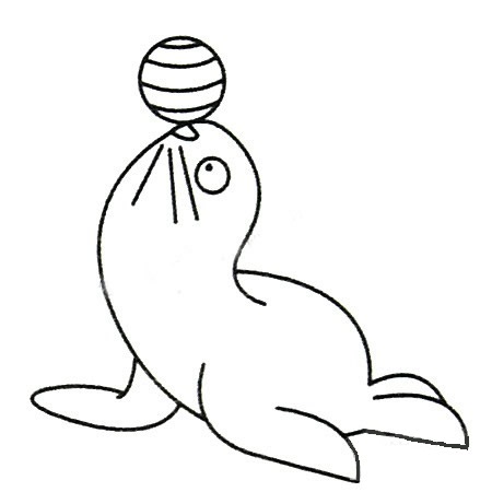 三步画一只简单的海豹